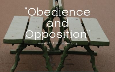 Week 31 Devotion – “Obedience and Opposition”