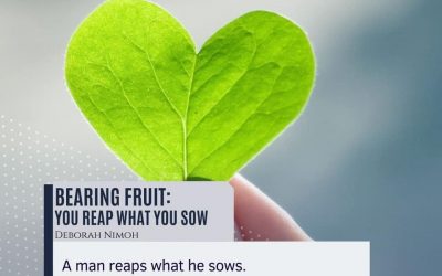 Week 34 Devotion – “Bearing Fruit: You Reap What You Sow”