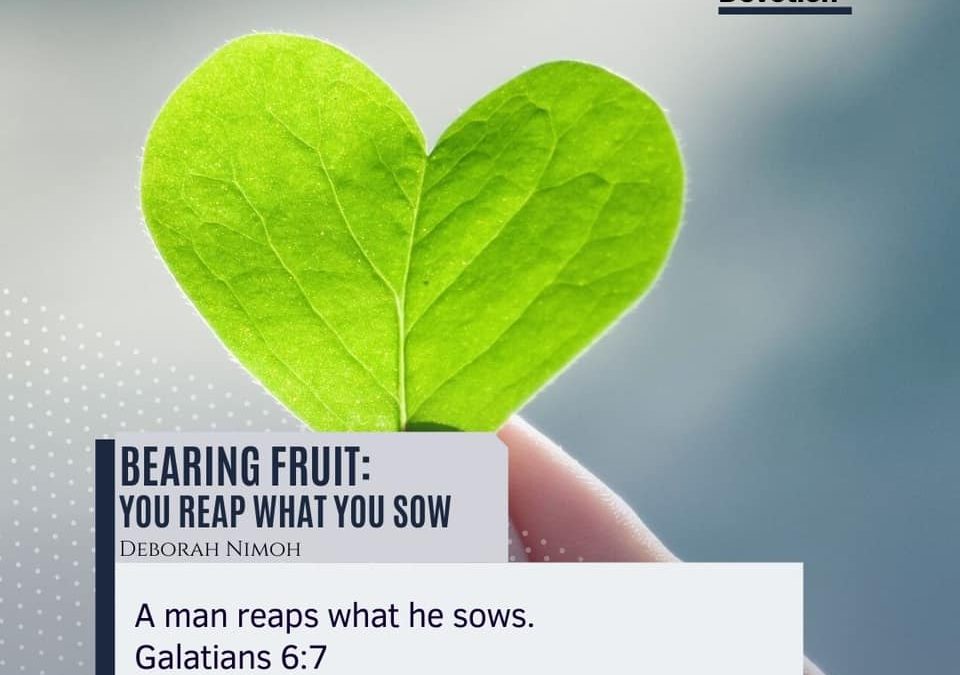 Week 34 Devotion – “Bearing Fruit: You Reap What You Sow”