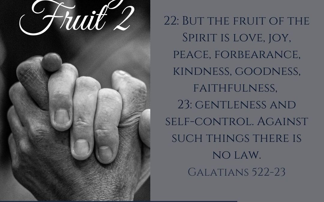 Week 33 Devotion // “Bearing Fruit” Part 2